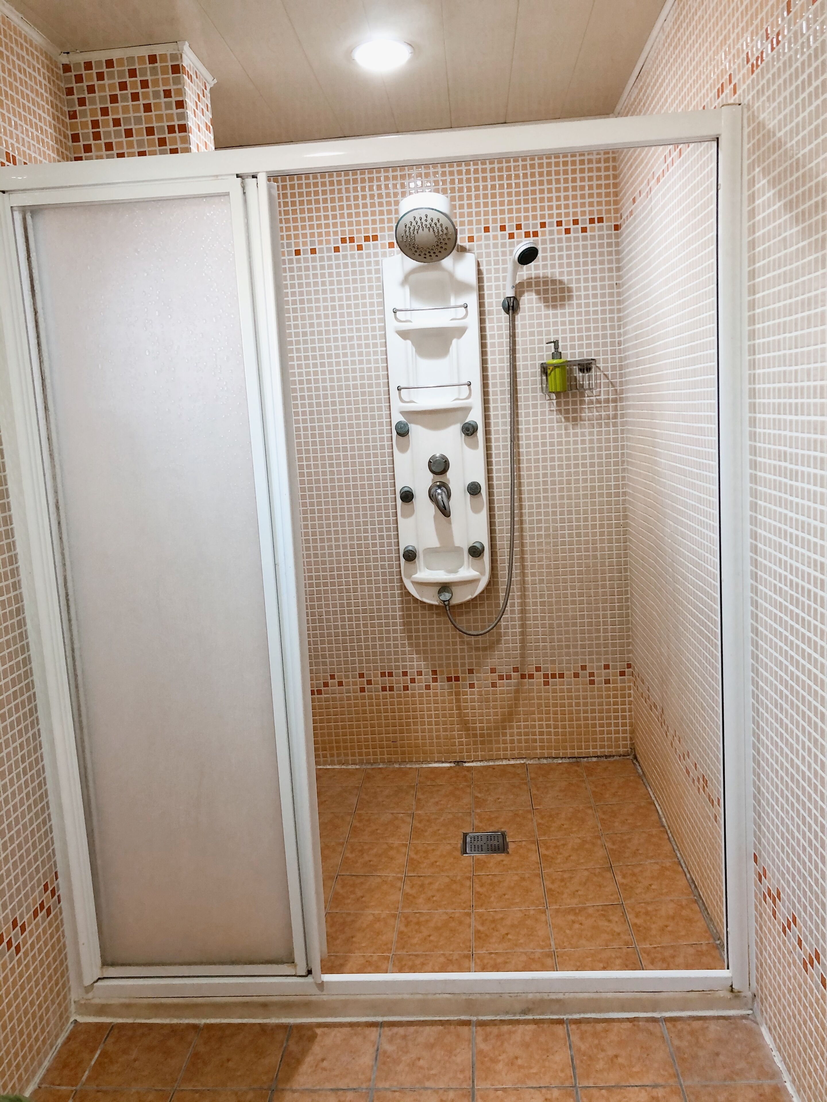 Um espaço de chuveiro pequeno revestido com azulejos, com porta branca, chuveiro fixo e mangueira.