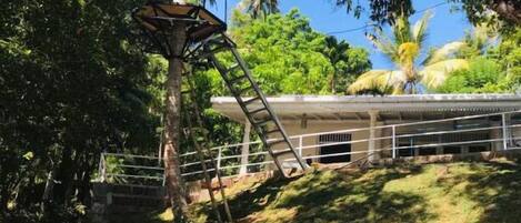 A pathway leading to a building with a sloped roof, surrounded by lush greenery and palm trees.