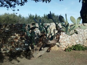 Dettaglio esterni