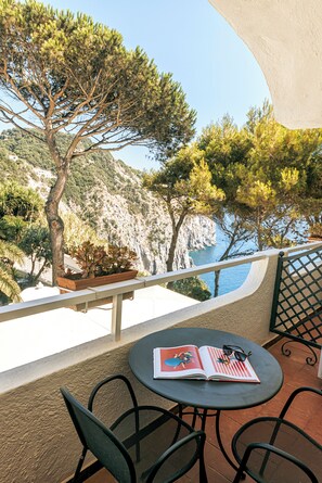 Comfort Room, Balcony, Partial Sea View | View from room - Hotel Grazia alla Scannella (Forio)