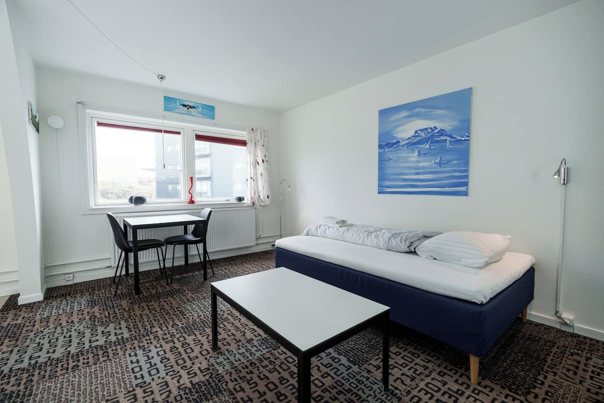 Studio | 1 bedroom, blackout drapes, iron/ironing board, free WiFi