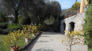 Un sendero conduce a un arco de piedra, rodeado de plantas en macetas y follaje.