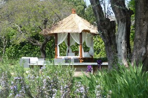 Property grounds - charming house large garden swimming pool (La Gaude)