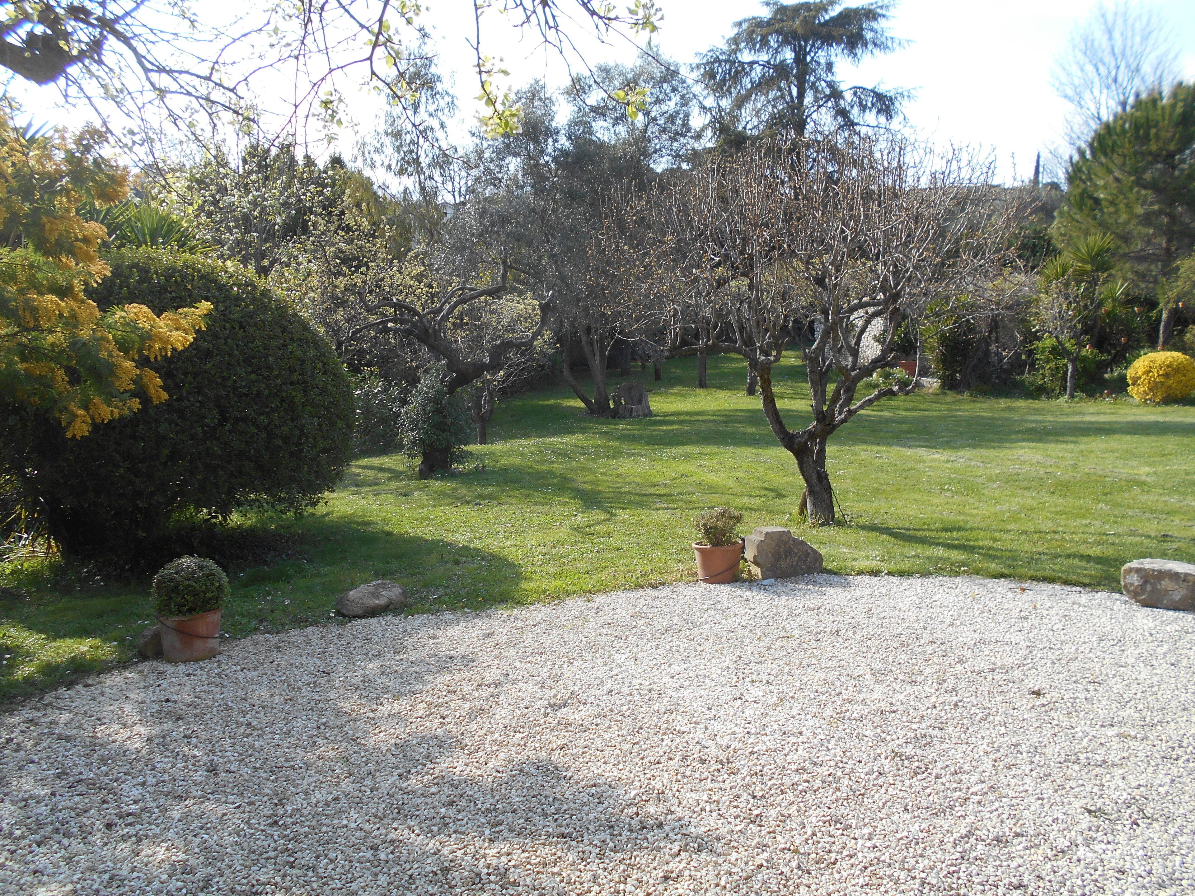 A garden with a gravel path, various shrubs, and trees.
