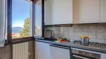 Full-sized fridge, microwave, oven, stovetop