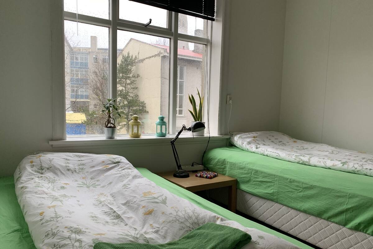A dormitory room with two beds, a window with a view of buildings, a small table with a lamp, and a potted plant.