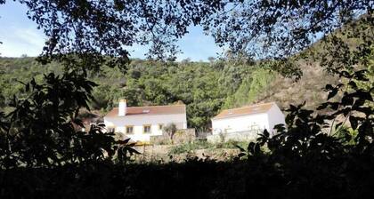 Casa Alva Double or Twin Room