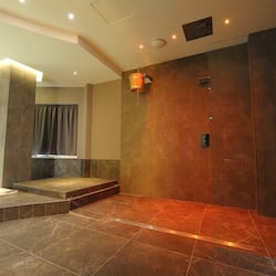 Sauna seca, banheira de hidromassagem, sauna a vapor, banho turco/hammam