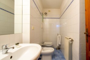 Shower, hair dryer, bidet, towels