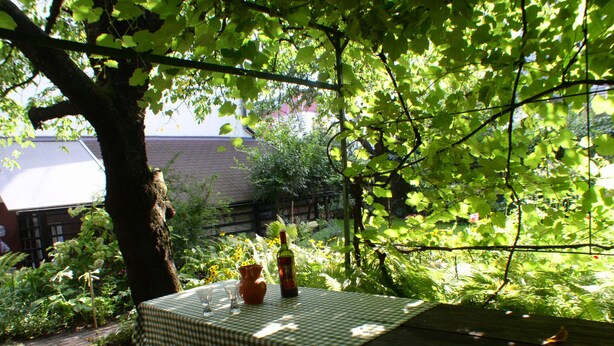 Ein Tisch im Freien mit kariertem Tischtuch, einer Vase und einer Flasche, umgeben von üppigem Grün und einem Baum.
