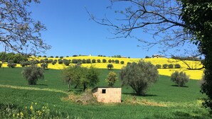 Een landelijk landschap met een klein bakstenen gebouw, omringd door groene velden en bloeiende gele gebieden.