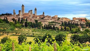 A historic town with medieval architecture, including towers and fortified walls, surrounded by vineyards.