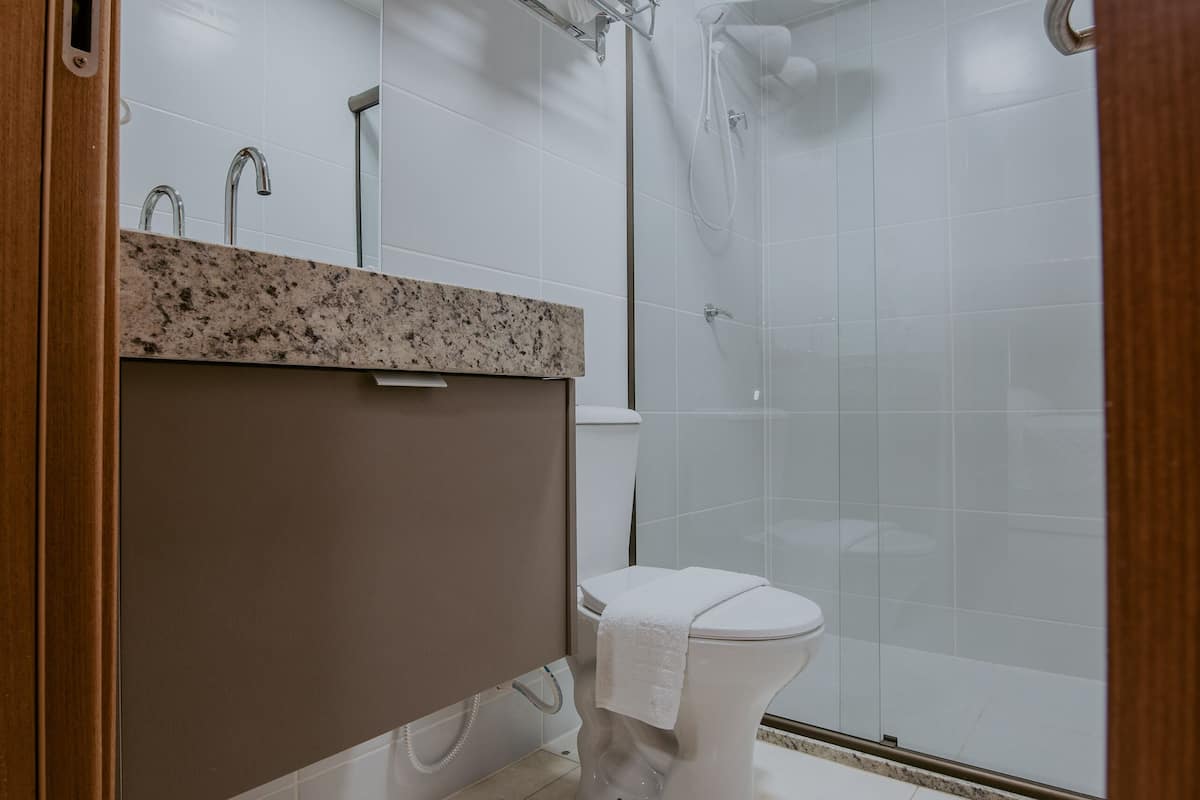 shower, free toiletries, hair dryer, towels