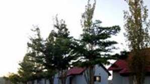Une rangée de petites cabanes à un seul étage, avec des toits rouges, entourées d’arbres et bordées d’un sol en terre.
