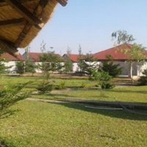 Garden - Moyo lodge (Lusaka)