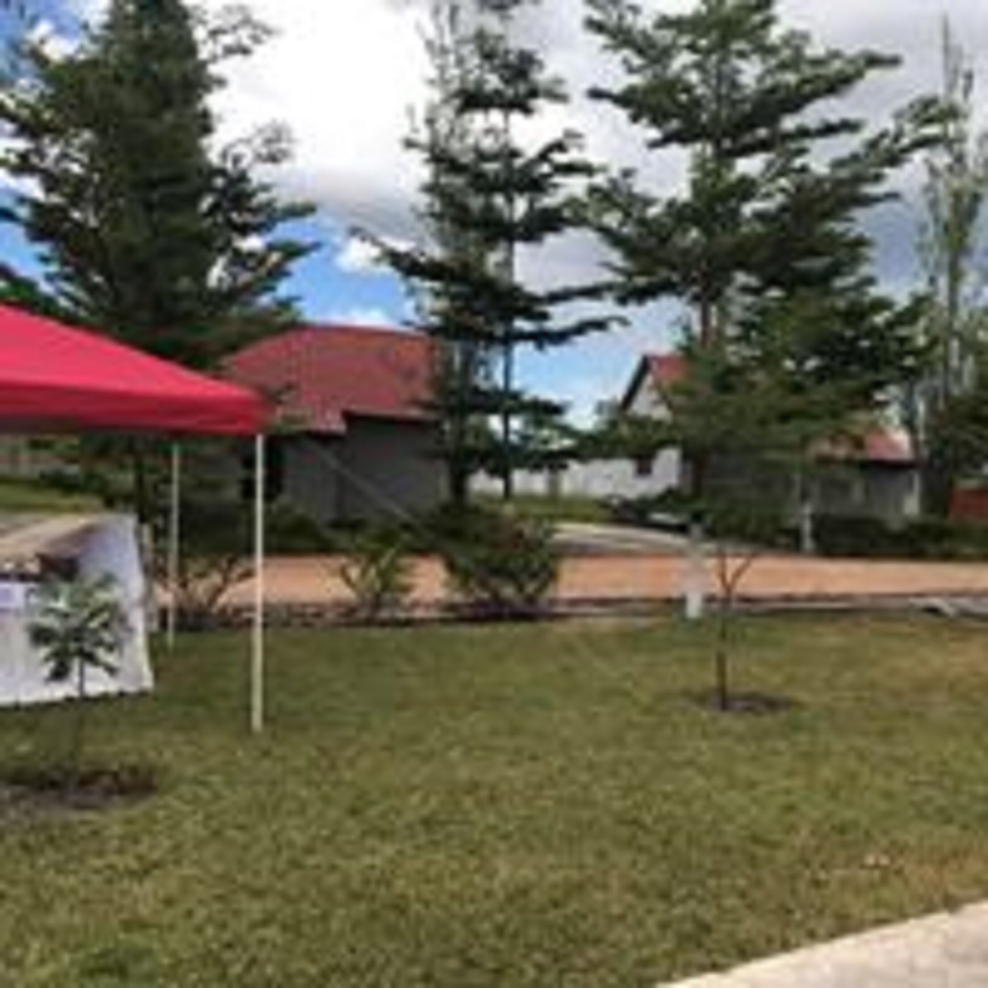 A grassy area with a red tent and a small tree.