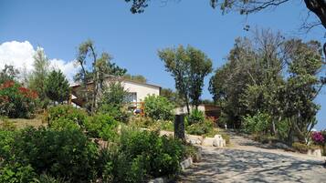 A house surrounded by lush gardens and trees.