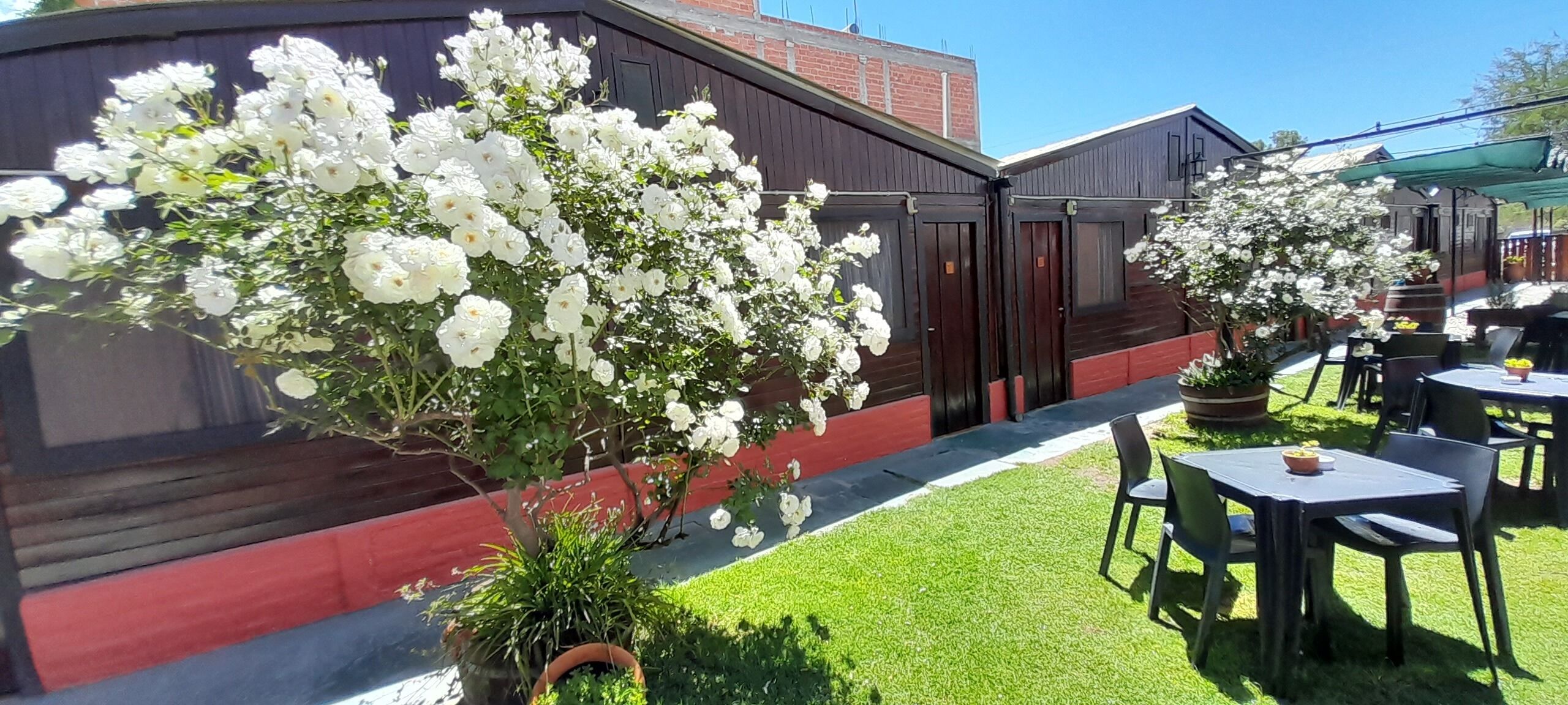 A patio area with outdoor seating, a flower bush, and a building with wooden doors.