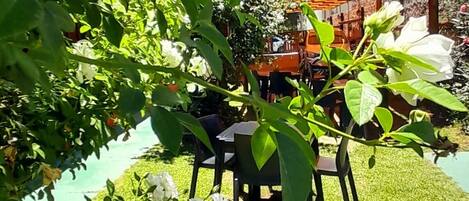 Un patio con mesa y sillas, rodeado de abundante vegetación y una pérgola.