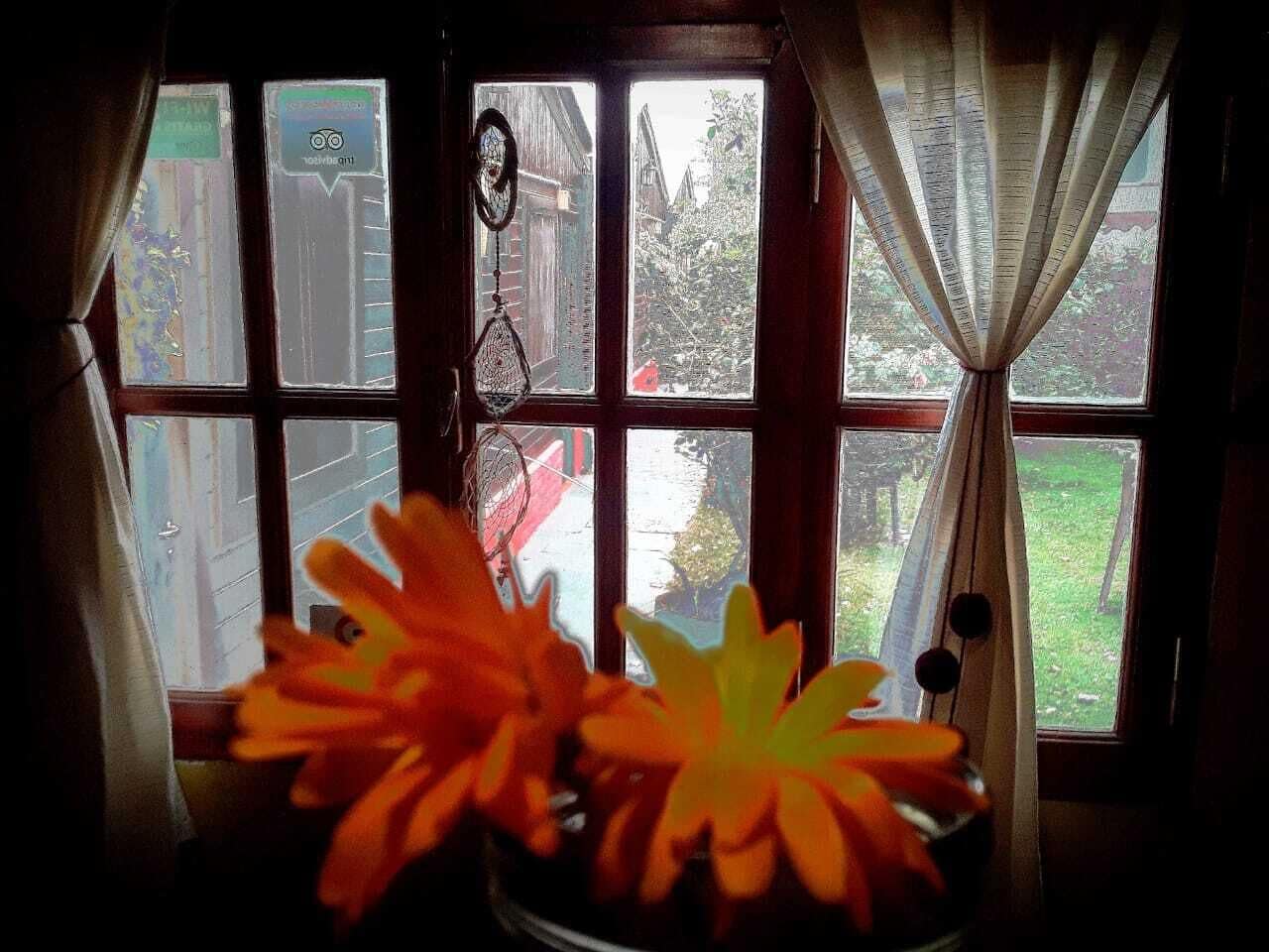 A window with curtains, a view of a garden, and a vase with flowers.