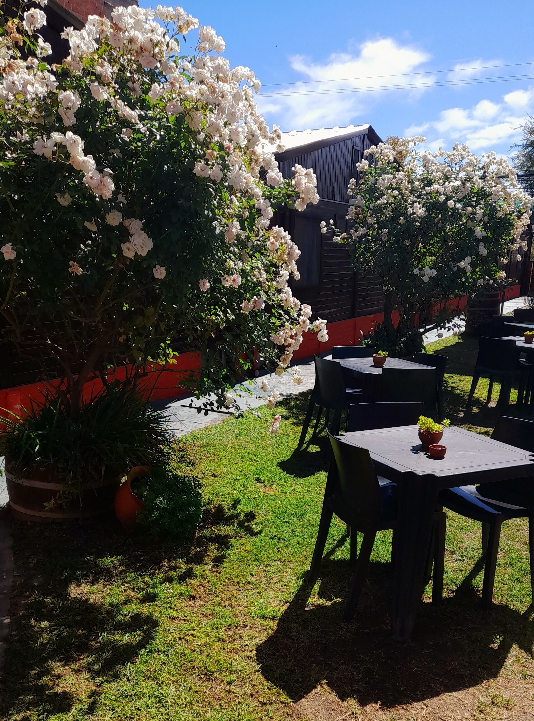 An outdoor seating area with tables and chairs, surrounded by lush greenery and flowering plants.
