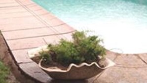 A swimming pool with a tiled deck and potted plants around it.