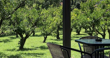 Ferienbungalows mit Garten, 650 Meter vom Strand entfernt.