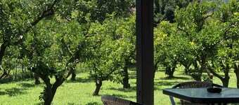 Holiday Bungalows with garden,650meter from Beach.