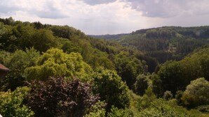 Un paysage verdoyant et luxuriant, avec une forêt dense et des collines en arrière-plan.