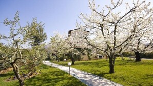 A pathway lined with trees bearing white blossoms, leading to a building with a beige facade. - Villa Gesi - Apartment 3 (Negrar)