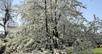 Le Clos des Pommiers