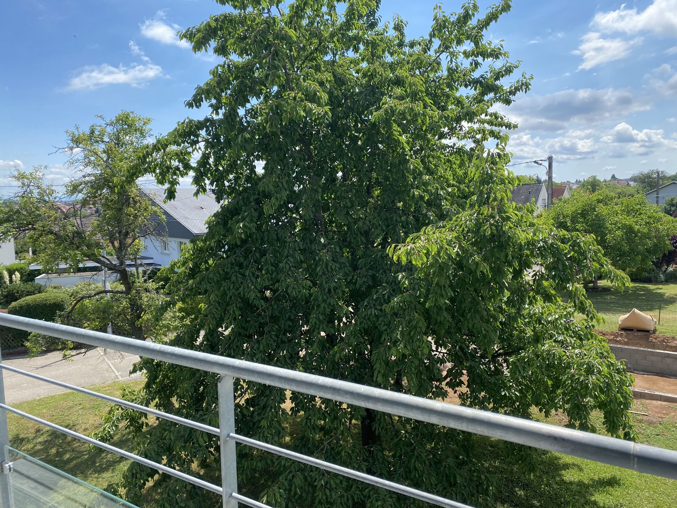 A tree-lined residential area with a metal fence in the foreground.