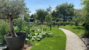 Un jardin avec un chemin de gravier sinueux, un grand arbre planté dans un pot et diverses plantes.
