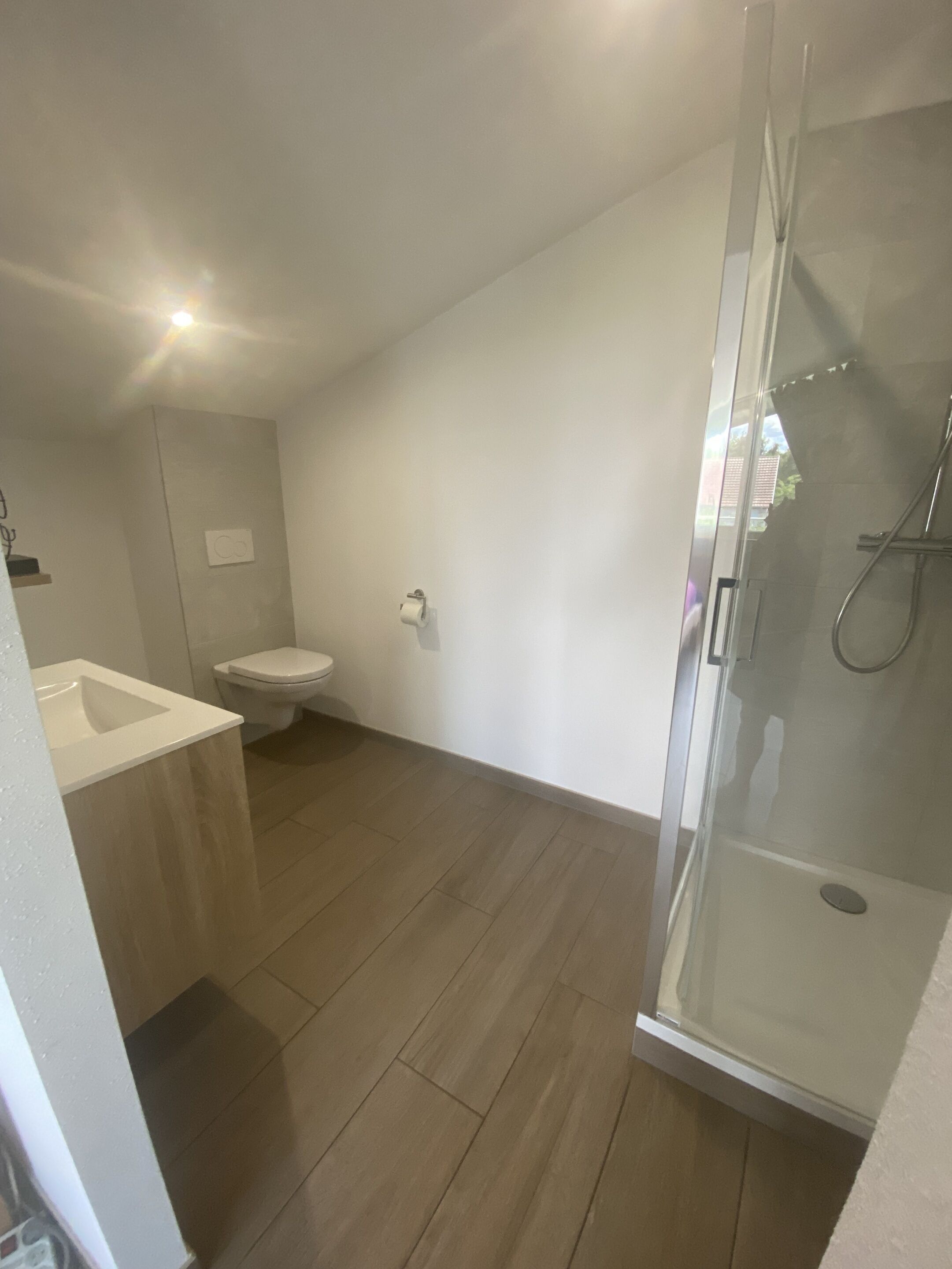 A modern bathroom with a glass shower enclosure, a toilet, and a bathtub.