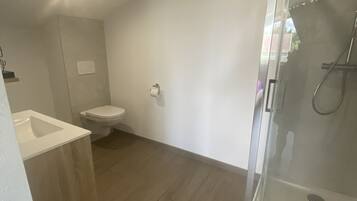 A modern bathroom with a glass shower enclosure, a toilet, and a bathtub.