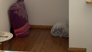 Une petite pièce avec un plancher en bois, un mur blanc et un portant à vêtements sur lequel sont suspendus des vêtements.