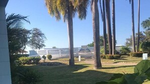 A view of a well-maintained lawn with tall palm trees, a clear blue sky, and a building in the background. - Ocean View Condo....IN NEGRIL (NEGRIL)