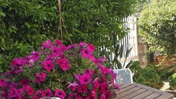 An outdoor dining area with a wooden table and white chairs, surrounded by lush greenery and vibrant pink flowers. - Villa Pomelia a stone's throw from the sea (Palermo)