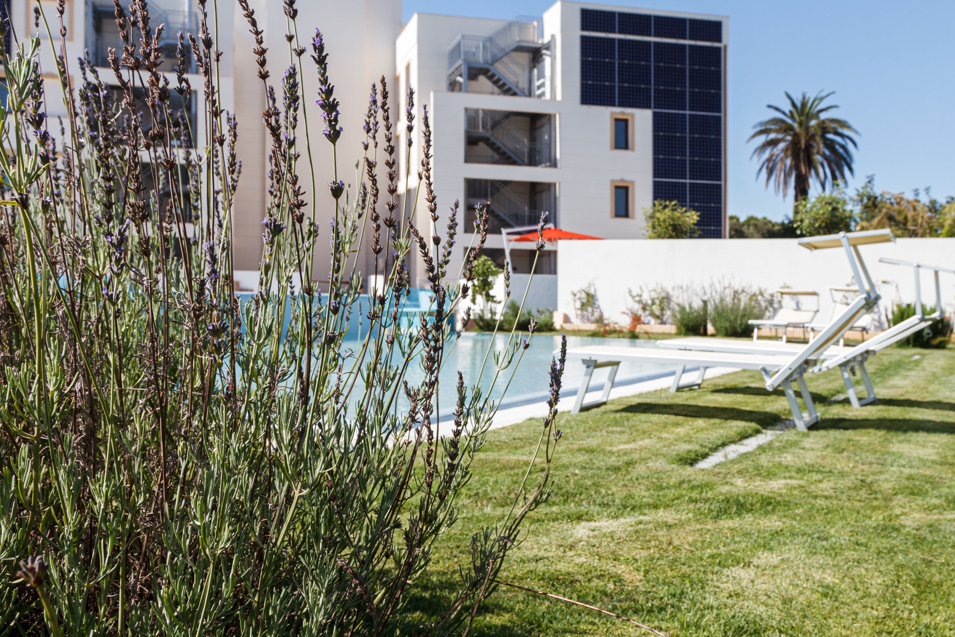 Ein modernes Gebäude mit Pool, Liegestühlen und einem gepflegten Rasen.