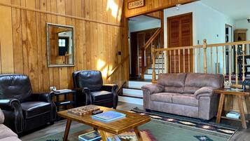 TV connectée, cheminée, lecteur de DVD, livres