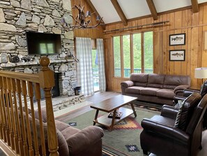 Smart TV, fireplace, DVD player, books