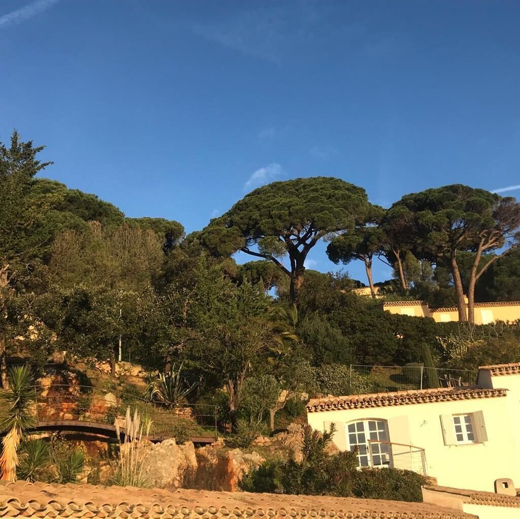 Una villa su una collina con tetto in tegole di terracotta, circondata da vegetazione lussureggiante e alberi.