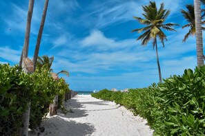 Ecotours - Aparta Hotel Las Rosa (Punta Cana)