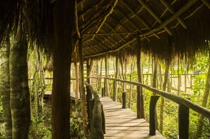 Exterior detail - Jazba (Tulum)