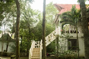 Design Room | Free WiFi - Jazba (Tulum)