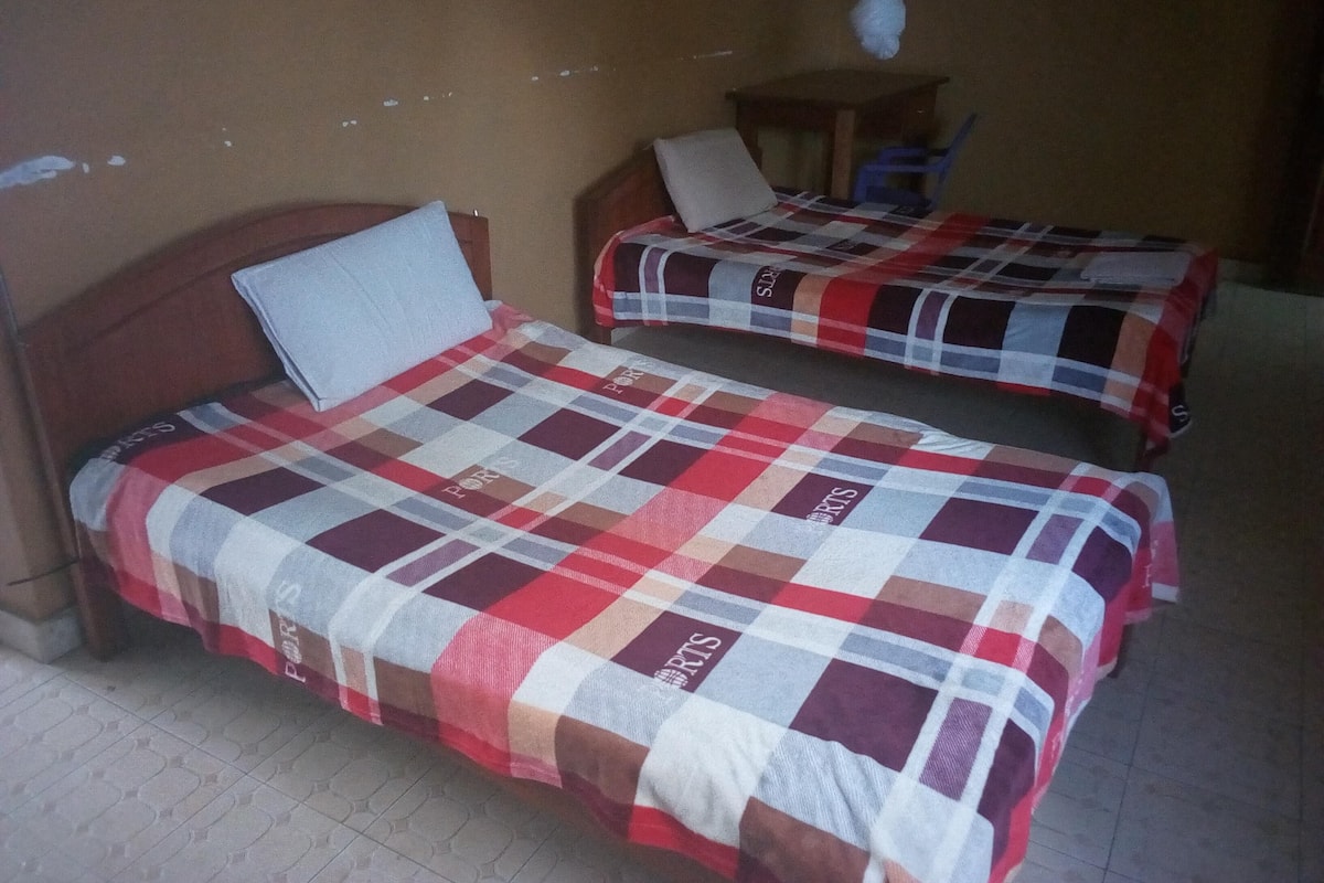 Two single beds with checkered bedding, a wooden headboard, a small table, and a hanging mosquito net.