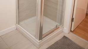 A glass-enclosed shower stall with a showerhead and handheld shower attachment.