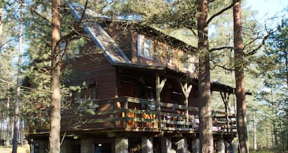 Domek nad jeziorem BrzeĆșno, Bory Tucholskie