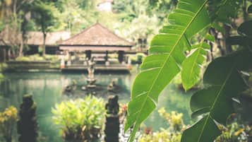 Jardines del alojamiento