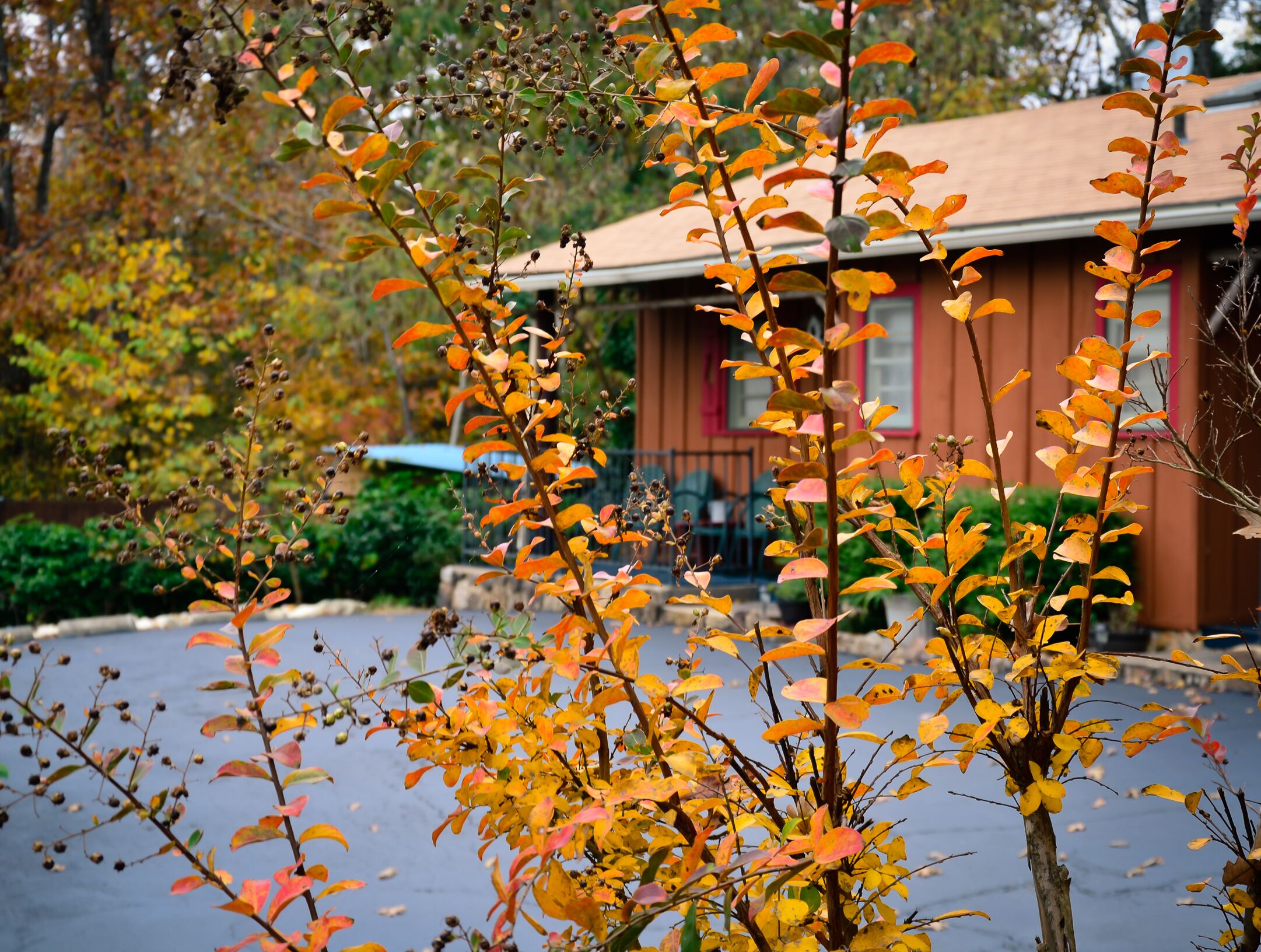 Cabin 2-bdrms with Pool and Boat Dock Access on Norfork Lake, Arkansas